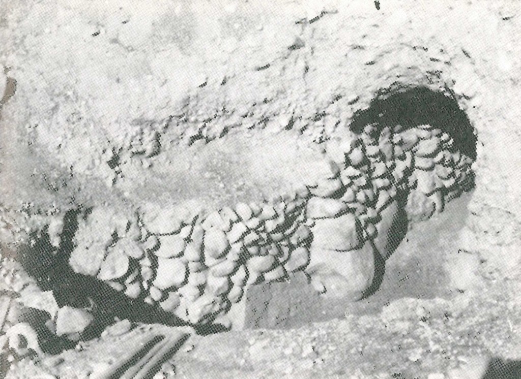 ТРАКИЙСКИ ЗЛАТОНОСНИ РУДНИ РАЗРАБОТКИ КРАЙ&nbsp;СОФИЯ