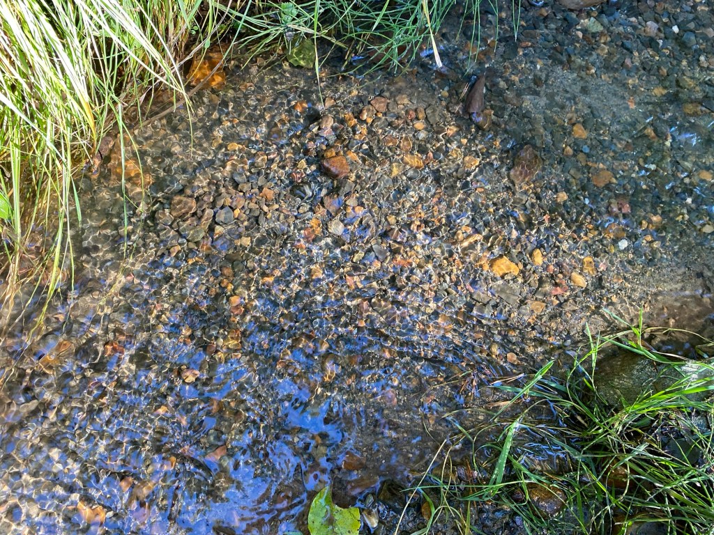 ОРУДЯВАНИЯ В ЮЖНИТЕ ОТДЕЛИ НА&nbsp;ВИТОША