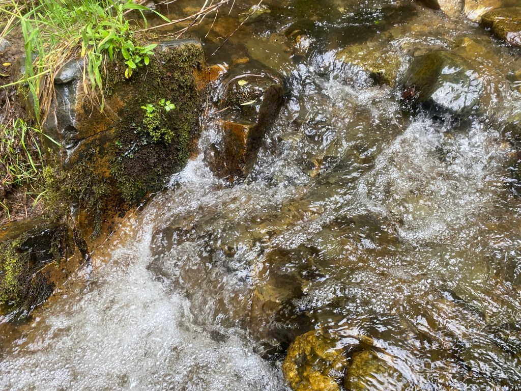 ПРИРОДНИ БОГАТСТВА ВЪ ЦѢЛОКУПНА&nbsp;БЪЛГАРИЯ